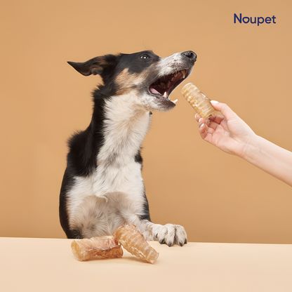 Tráqueas de Res Mediana Deshidratada Premios o Snacks - Noupet