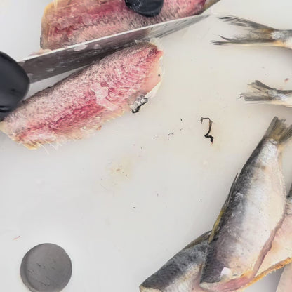 Sardinas Deshidratadas 100% natural Noupet